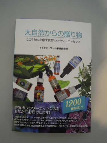 Flana book.jpg