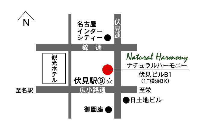 NH B1map.JPG