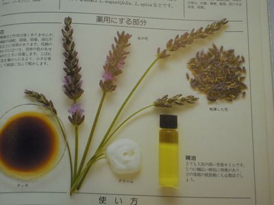 herb photo 009.jpg